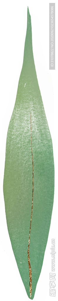 北欧小清新水彩植物图案