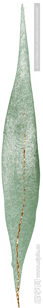 北欧小清新水彩植物图案