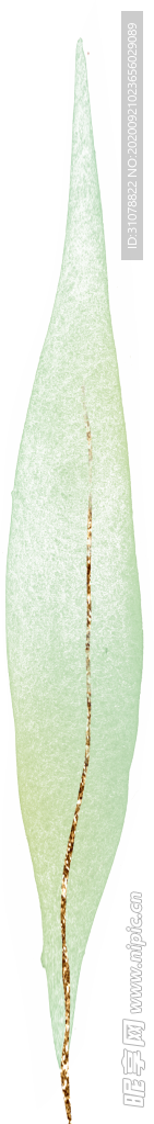 北欧小清新水彩植物图案