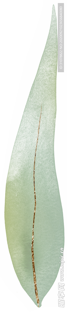 北欧小清新水彩植物图案