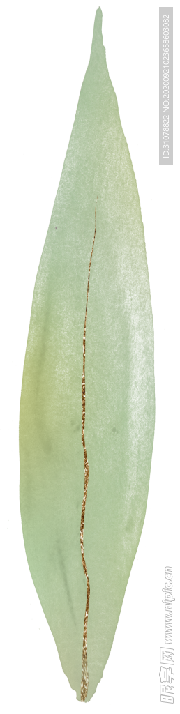 北欧小清新水彩植物图案