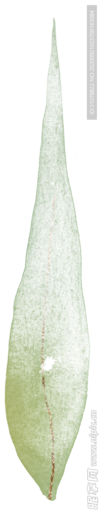 北欧小清新水彩植物图案