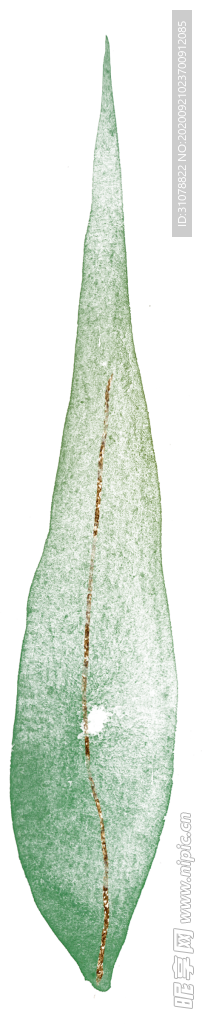 北欧小清新水彩植物图案