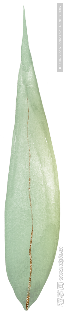 北欧小清新水彩植物图案