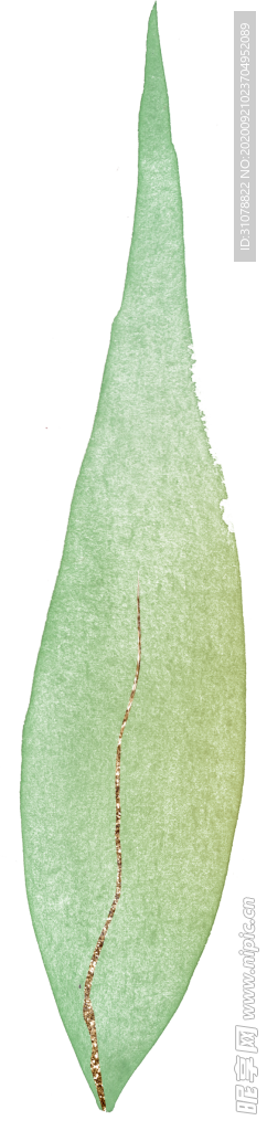 北欧小清新水彩植物图案