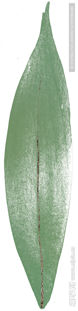 北欧小清新水彩植物图案