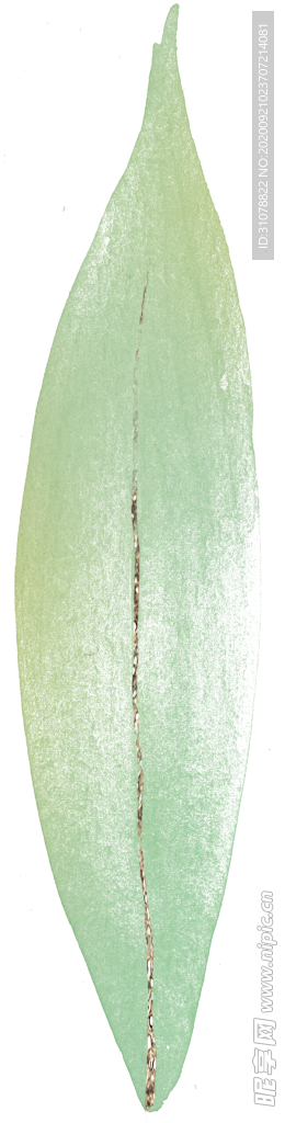 北欧小清新水彩植物图案