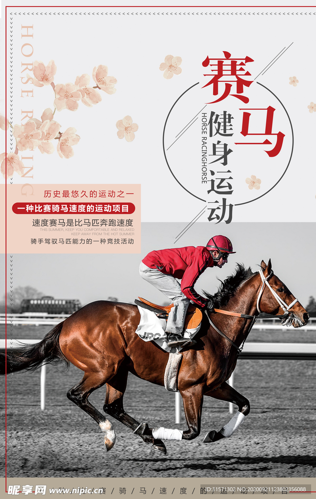简约大气赛马海报