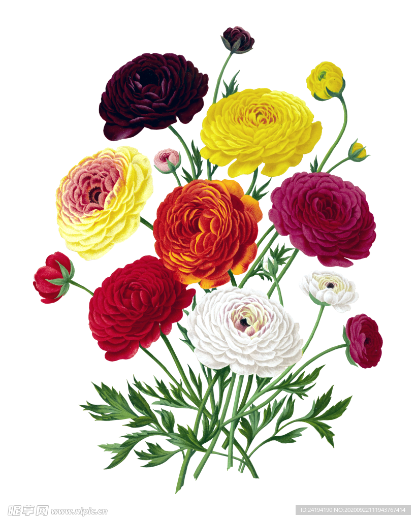 花
