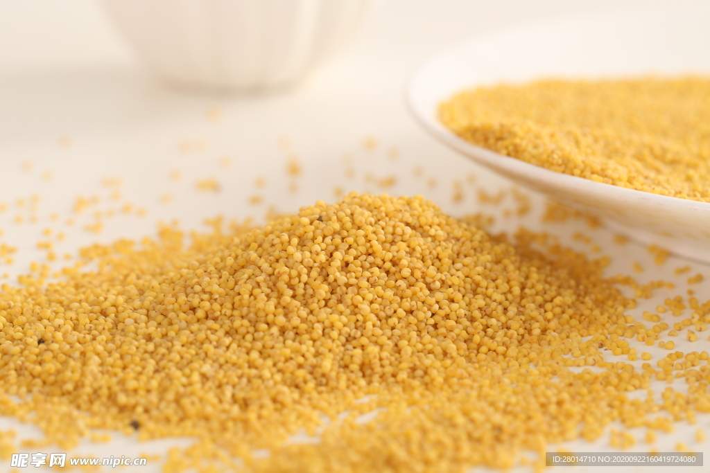 优质黄金小米图片