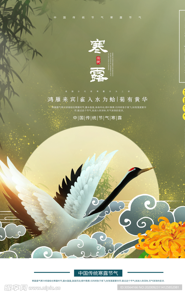 寒露节气传统活动海报素材