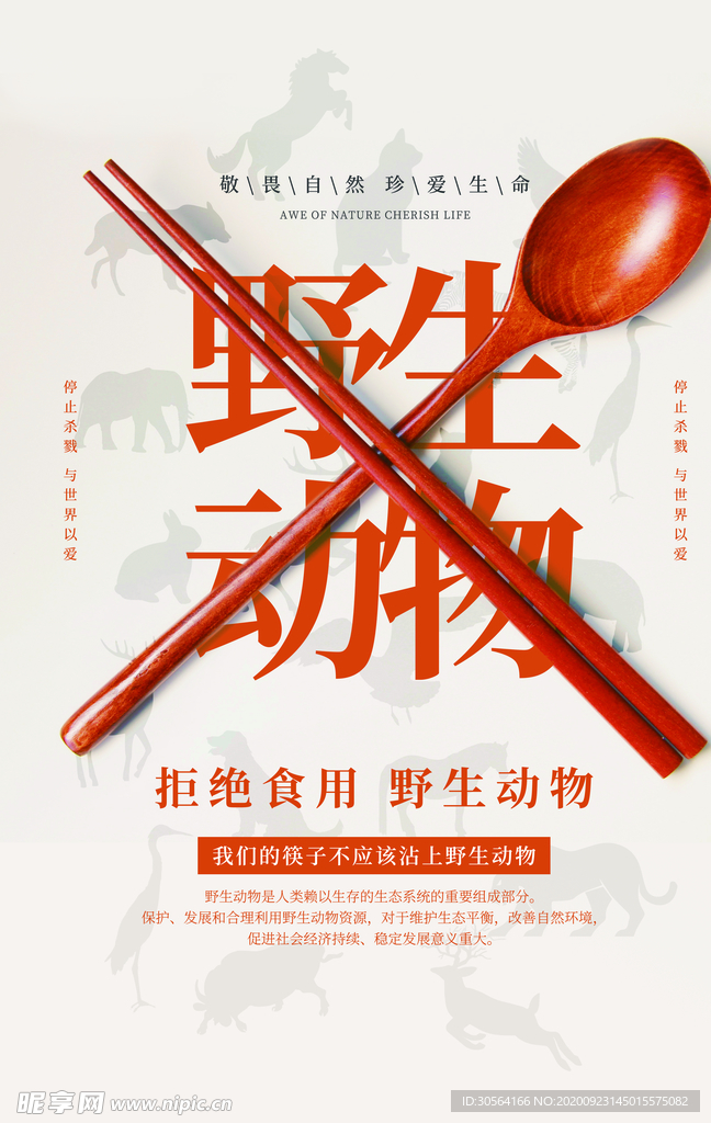 野生动物公益活动海报素材