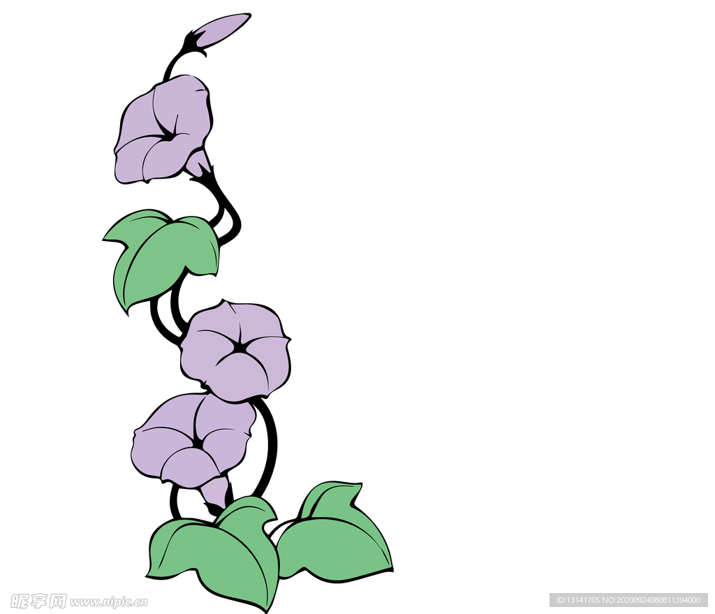 喇叭花 矢量喇叭花