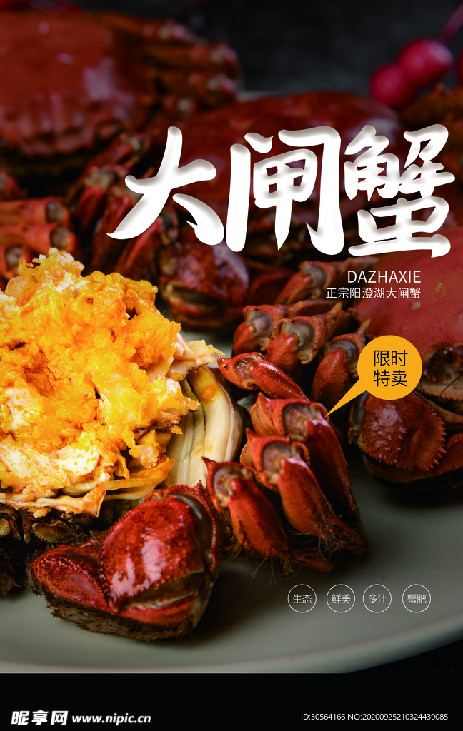 大闸蟹美食活动宣传海报素材