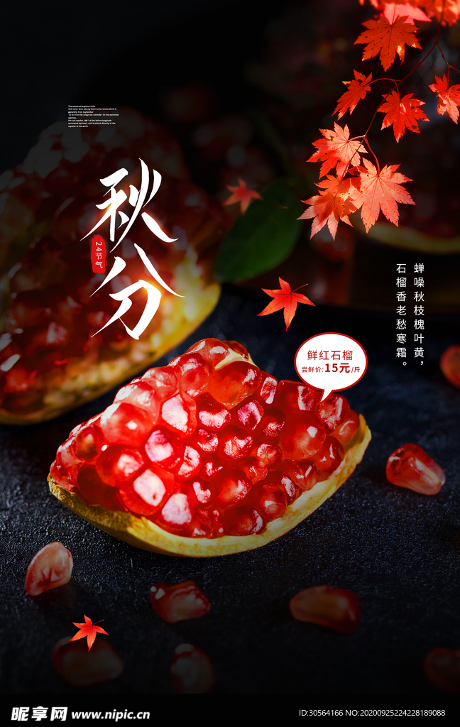 秋分节气活动宣传海报素材