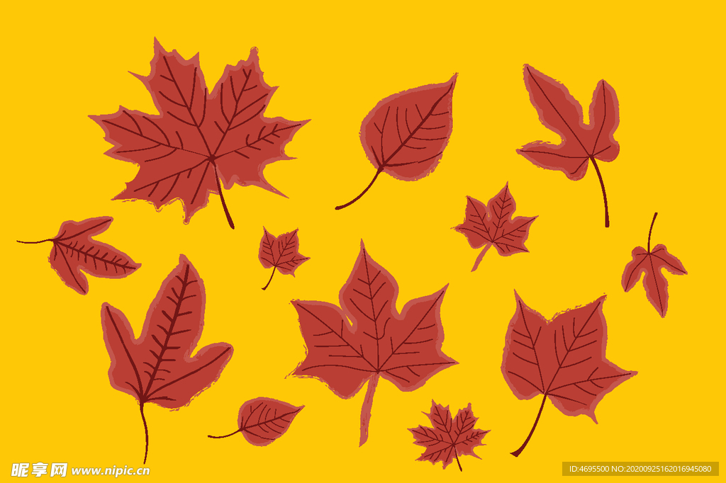 枫叶矢量图