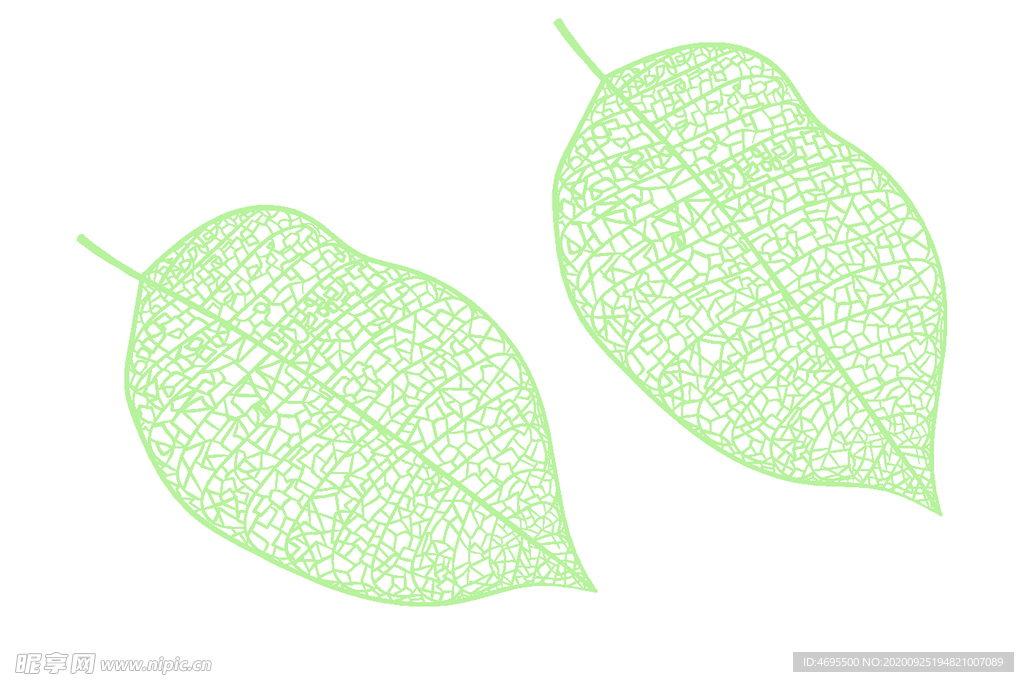 树叶卡通矢量图