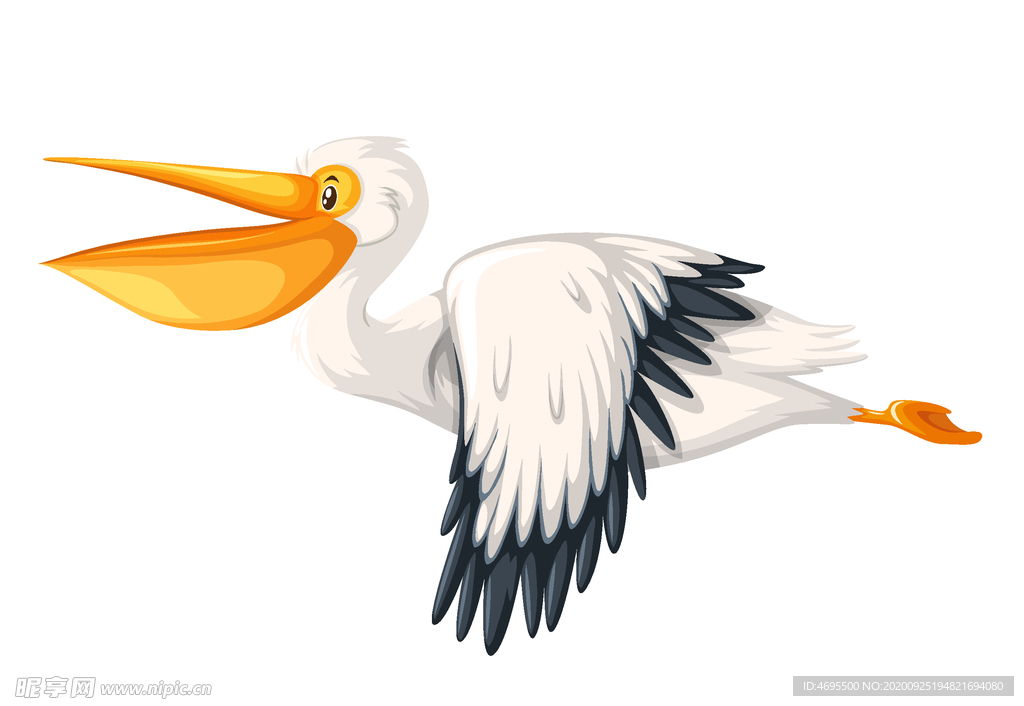 天鹅 丹顶鹤卡通矢量图