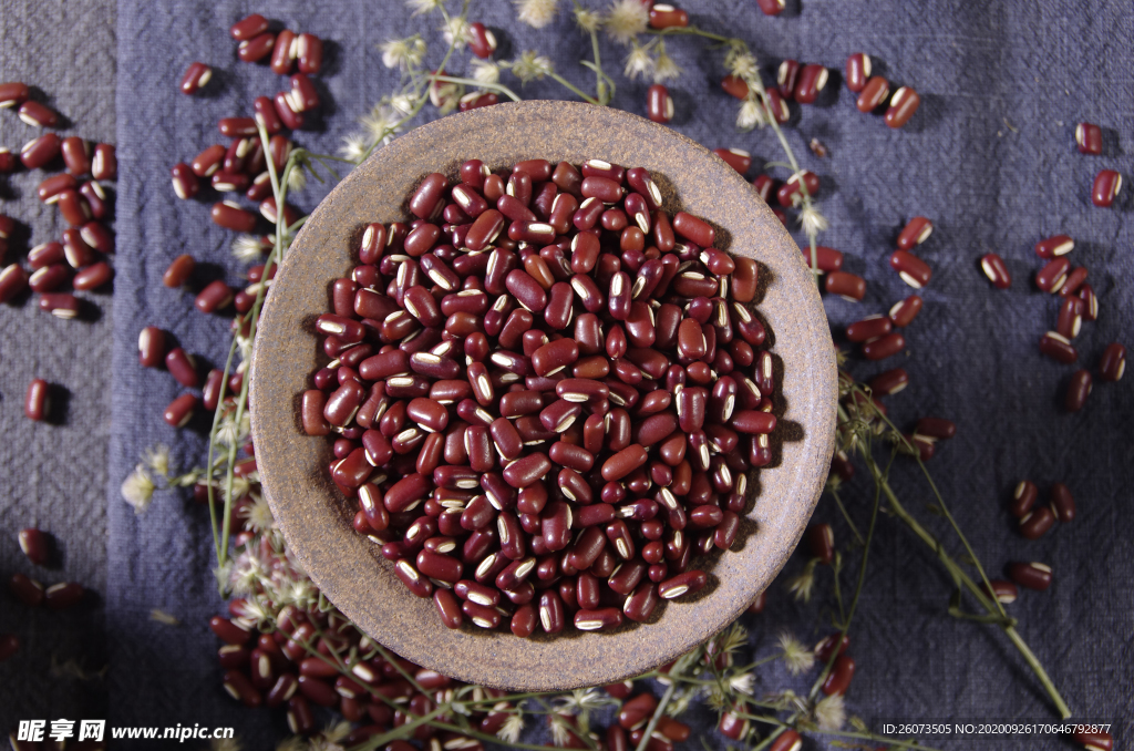 红豆 赤小豆 五谷 杂粮 食材