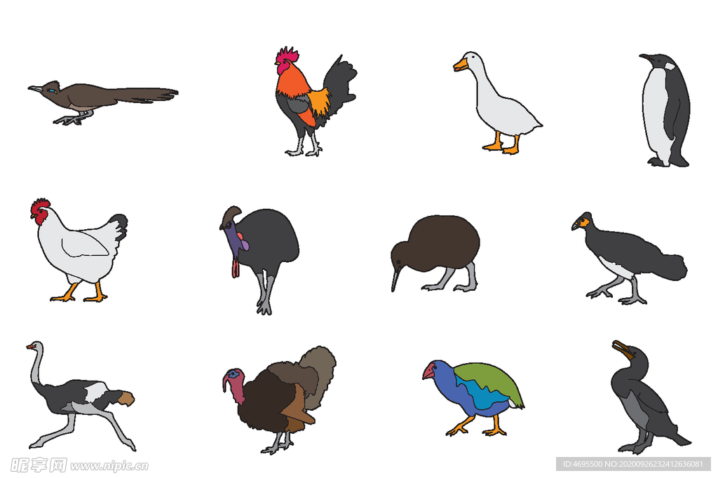 鸡 鸭 鹅 鸟 企鹅 公鸡卡通