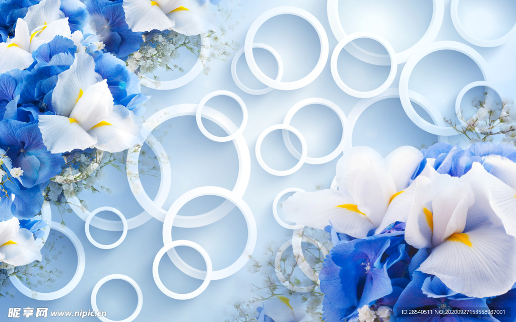 简约圆圈3d图片