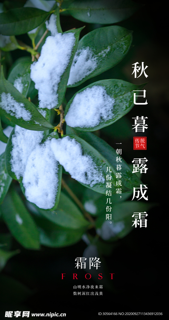 霜降节气传统活动海报素材