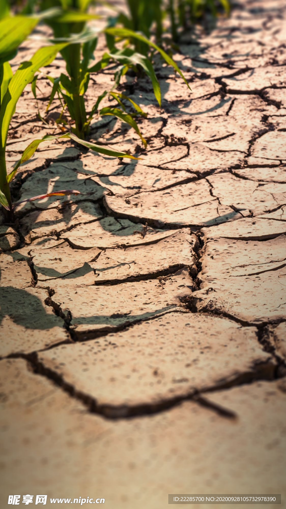 干旱的土地背景图