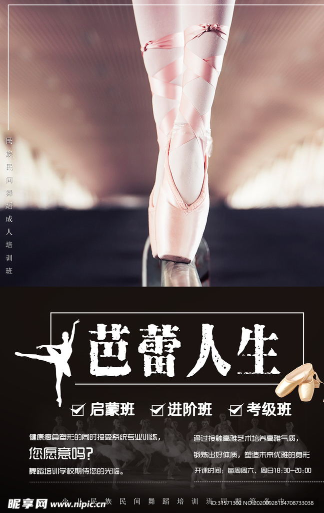 芭蕾人生海报