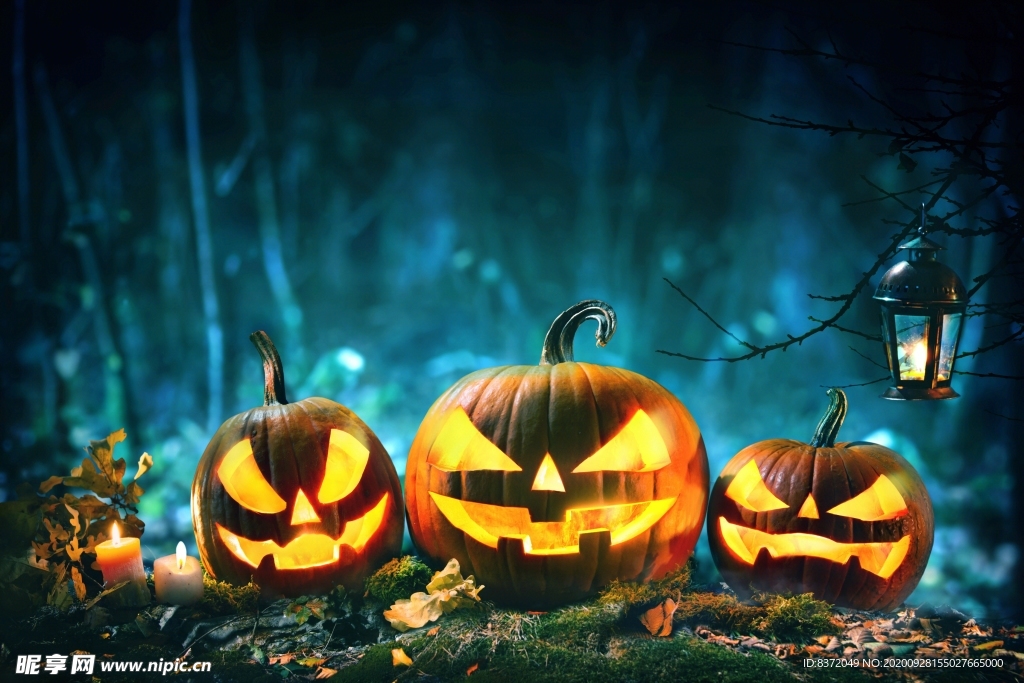 南瓜灯 万圣节