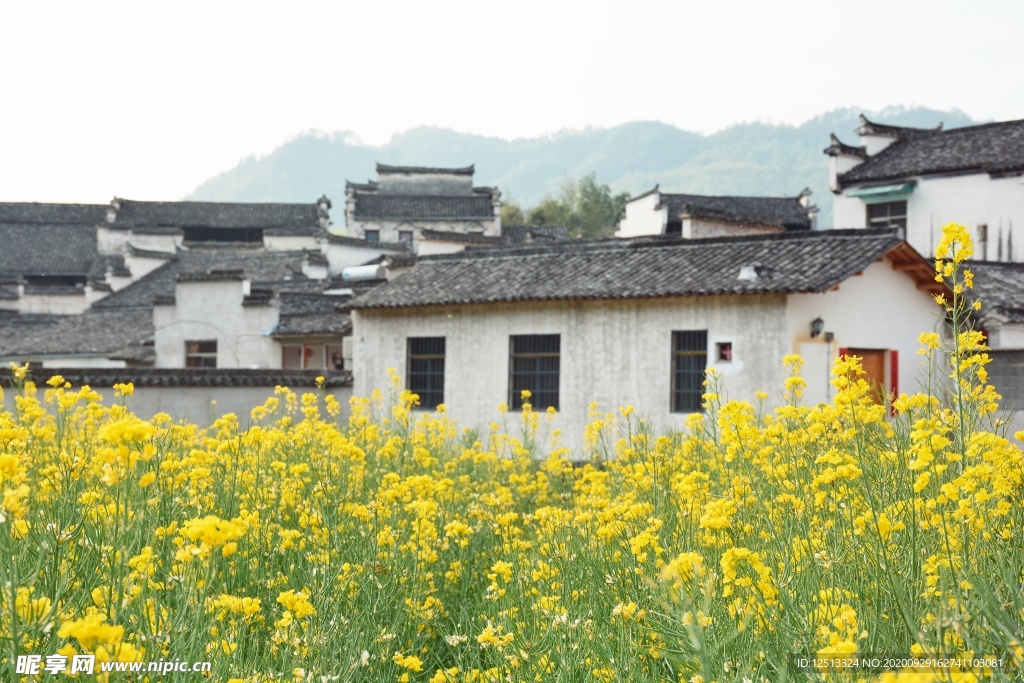 婺源