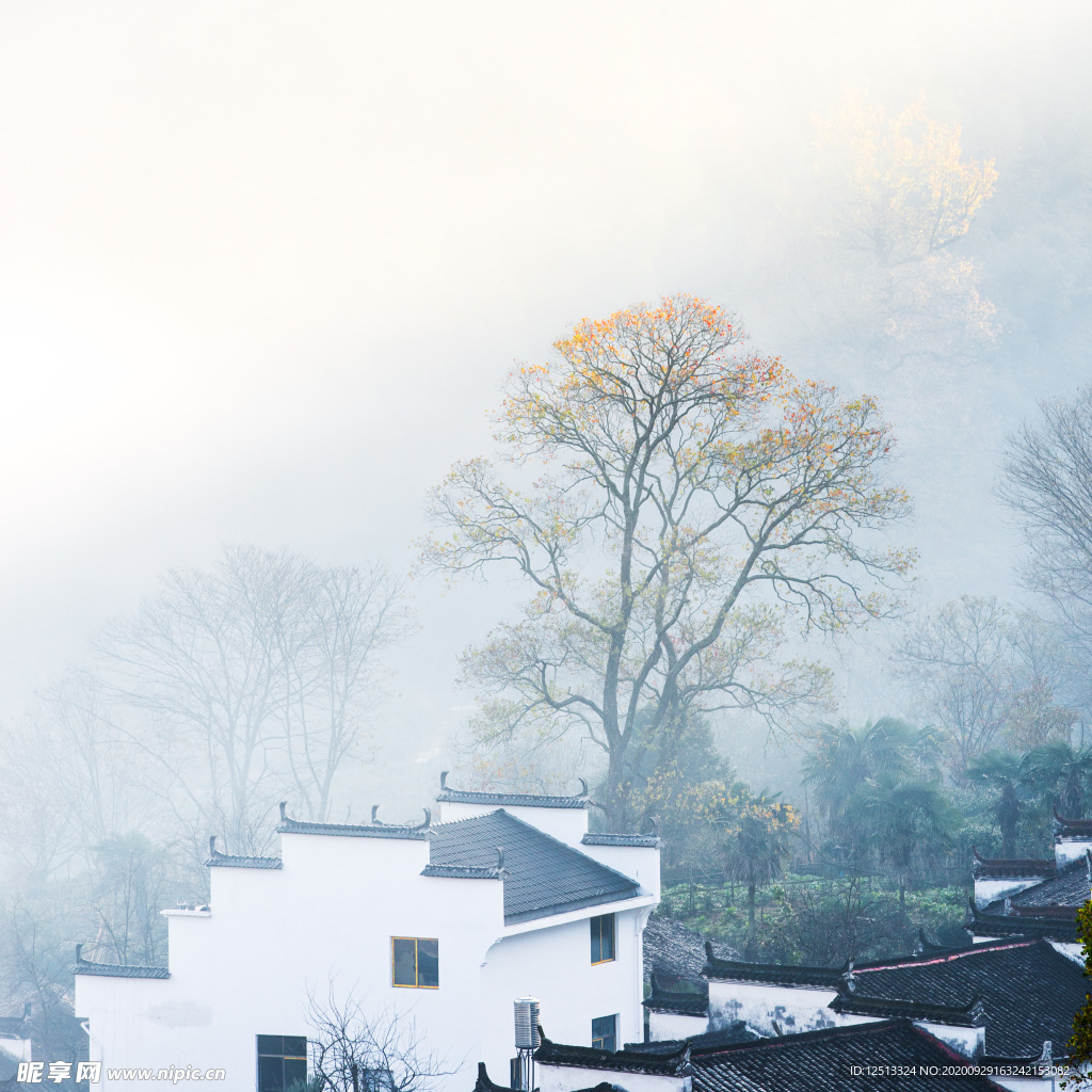 婺源