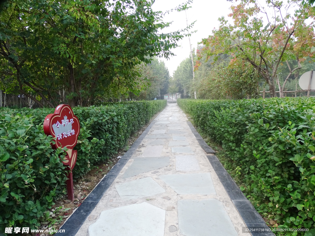 一望无际的小路