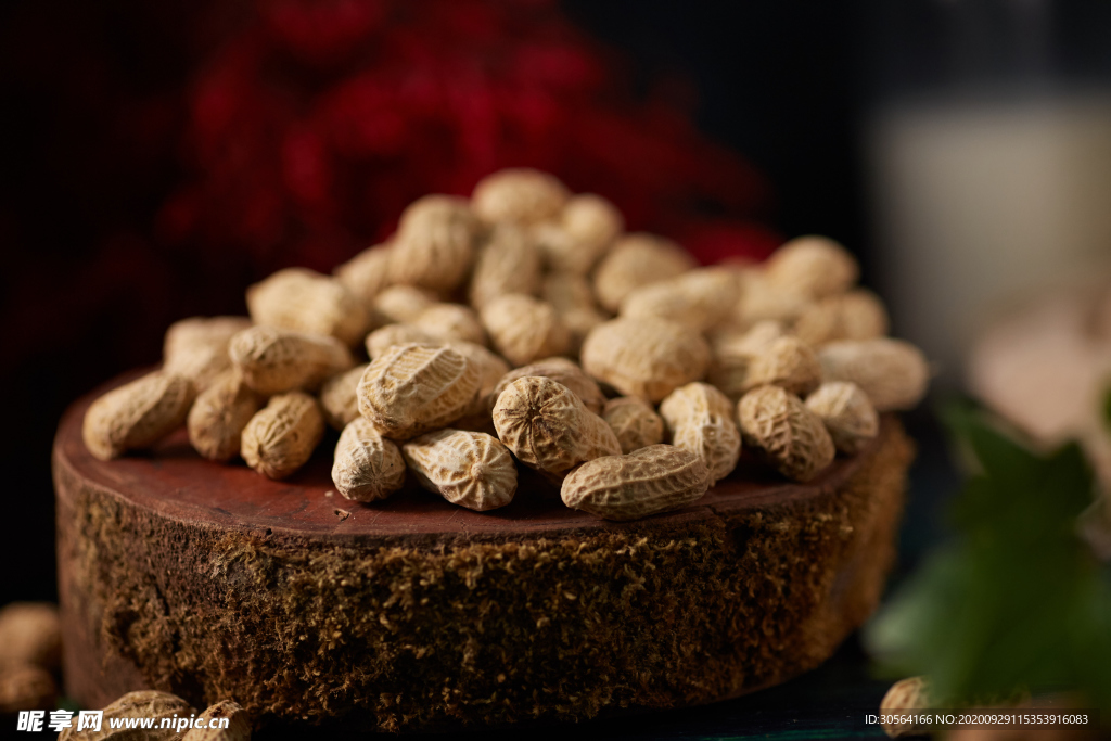 花生零食果实背景海报素材