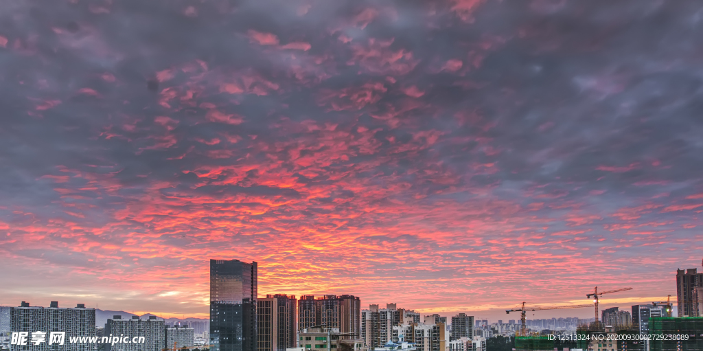 深圳坂田