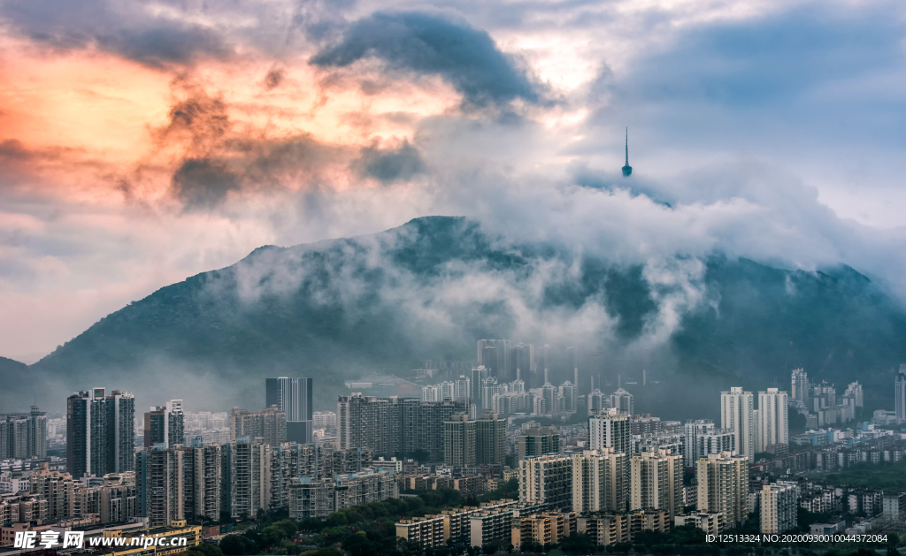 梧桐山