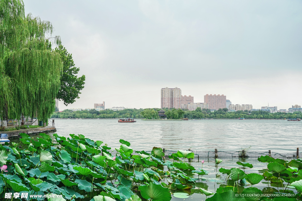 大明湖