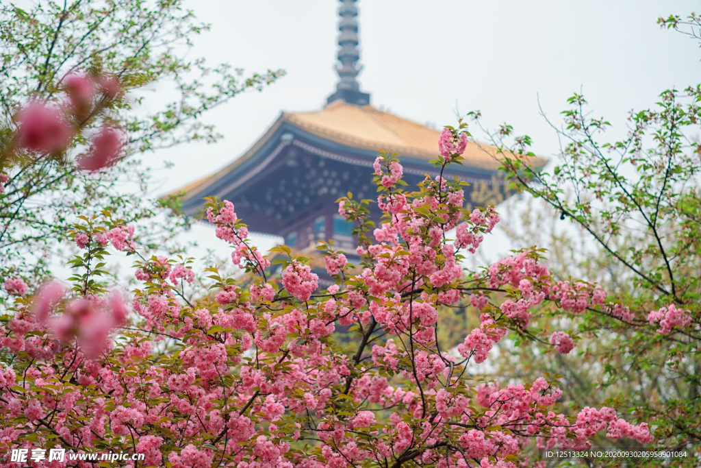 武汉