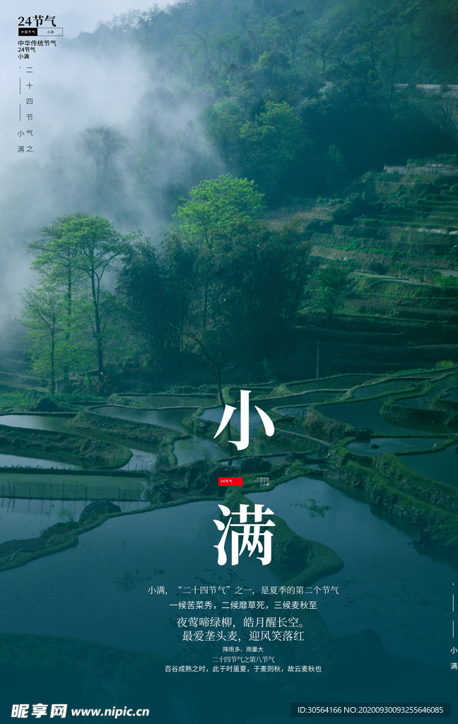 小满传统节日活动宣传海报素材