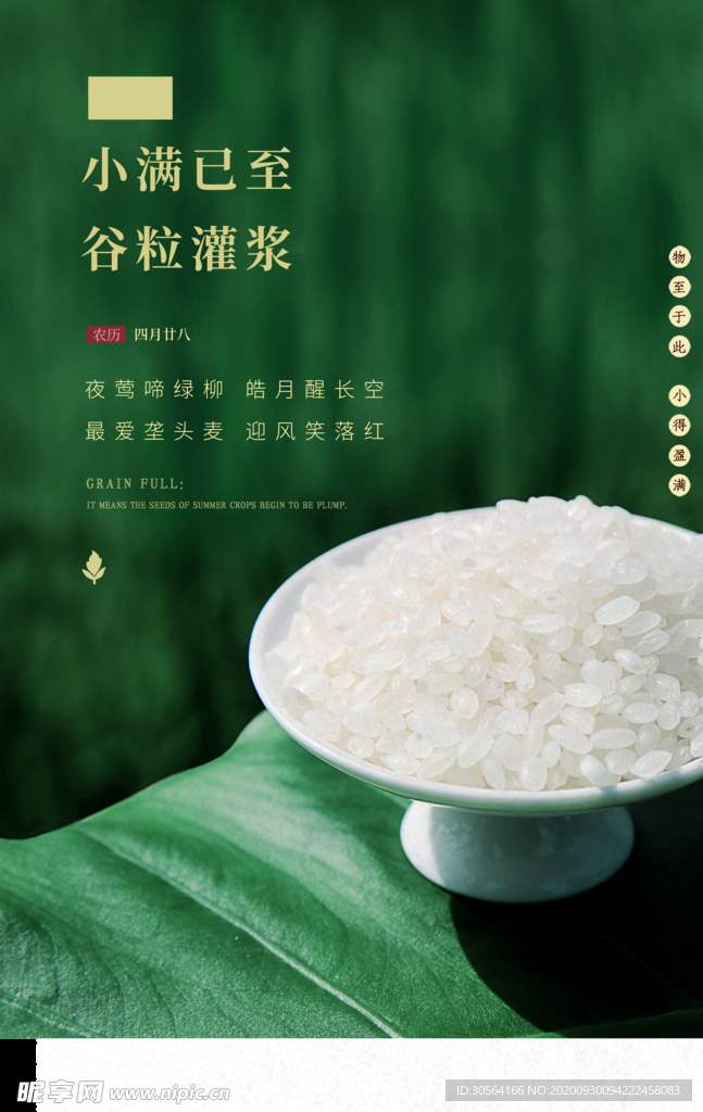 小满传统节日活动宣传海报素材