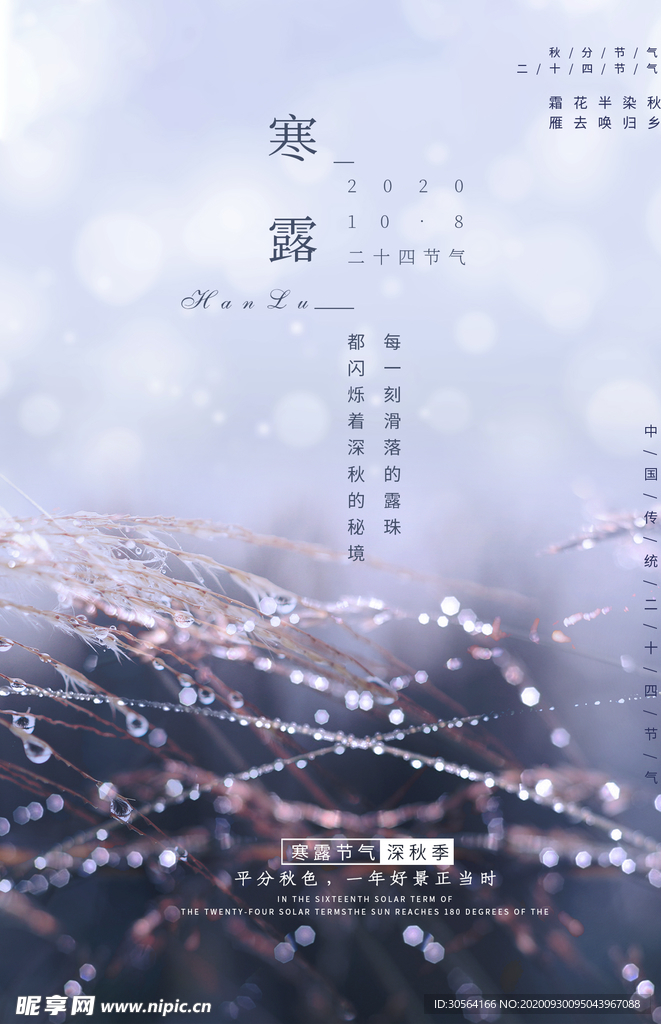 寒露传统节日活动宣传海报素材