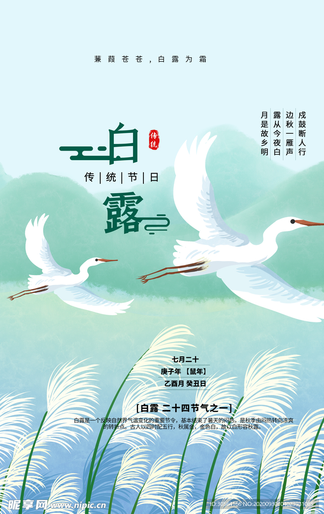 白露传统节日活动宣传海报素材