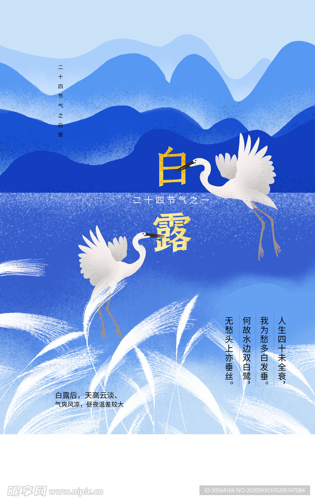 白露传统节日活动宣传海报素材