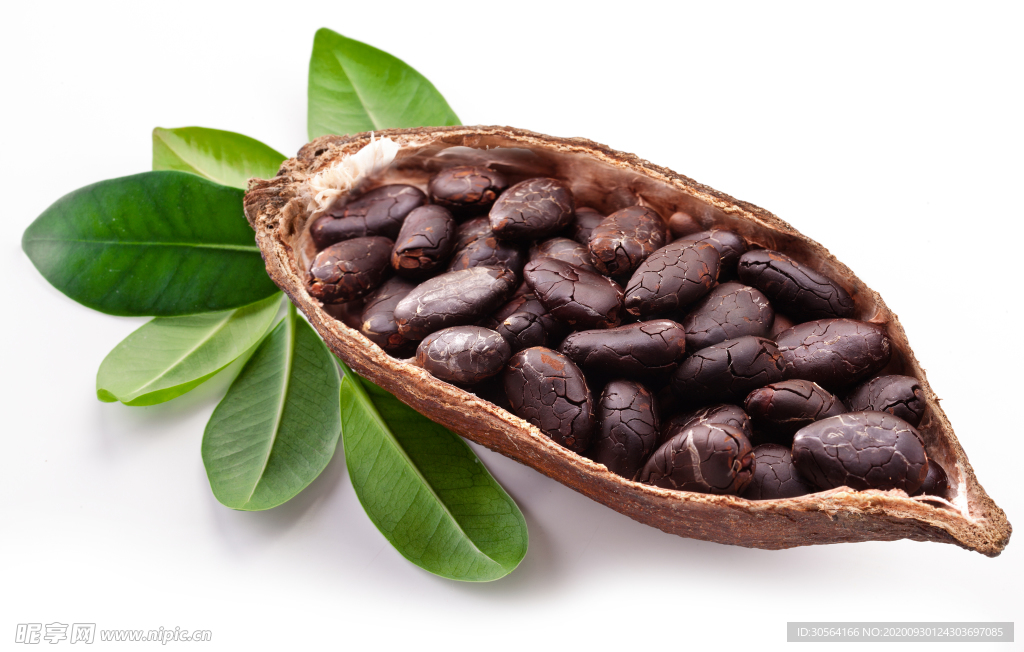 咖啡豆木勺咖啡背景海报素材