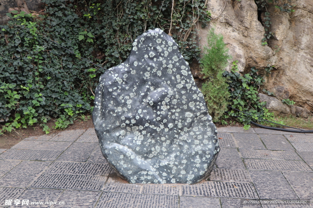 梅花石背景图片