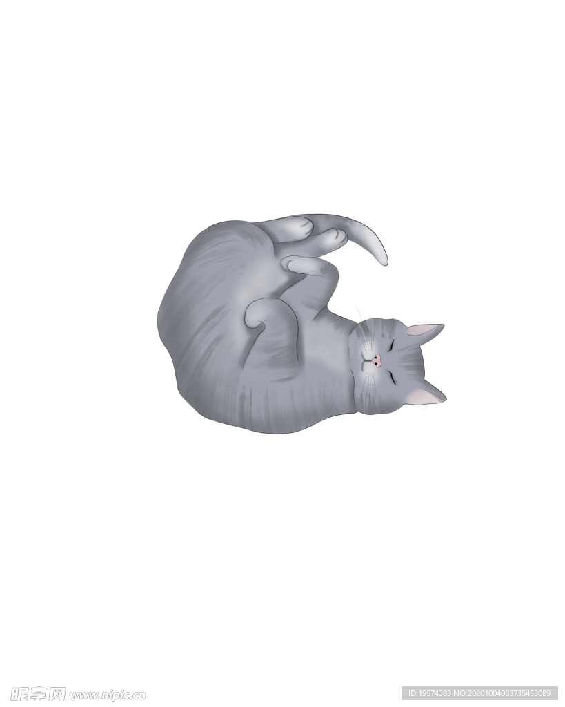 英国短毛猫 手绘