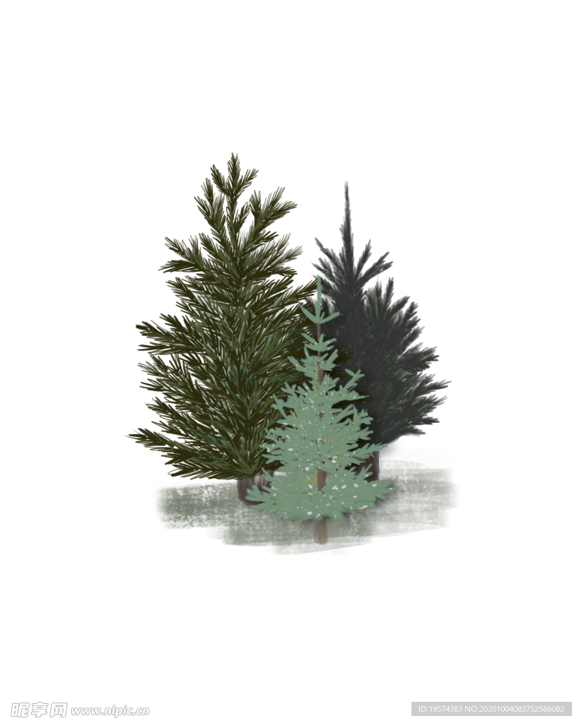 松树 树木 丛林