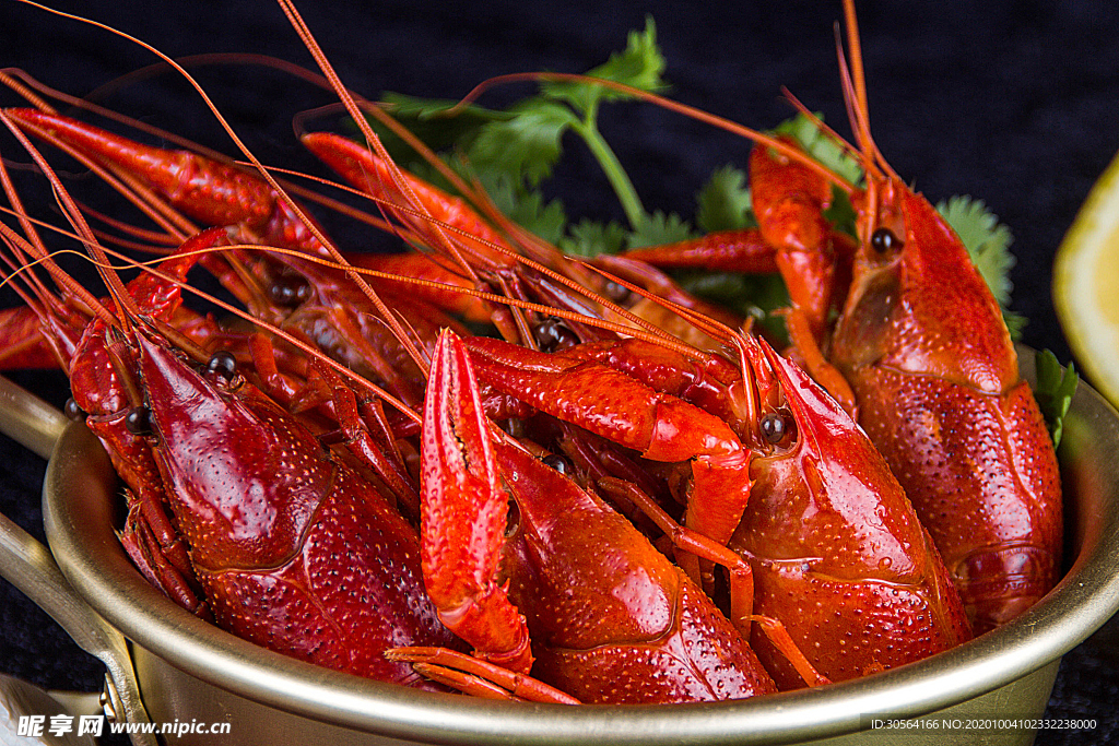 小龙虾美食食材背景海报素材