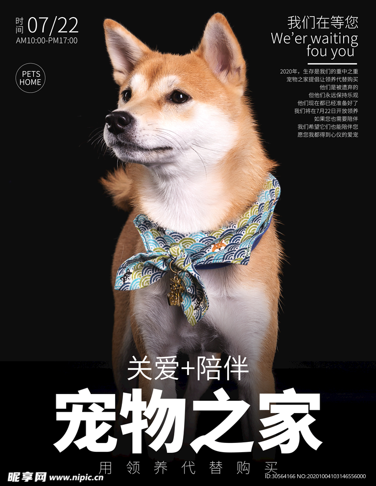关爱宠物社会公益宣传海报素材