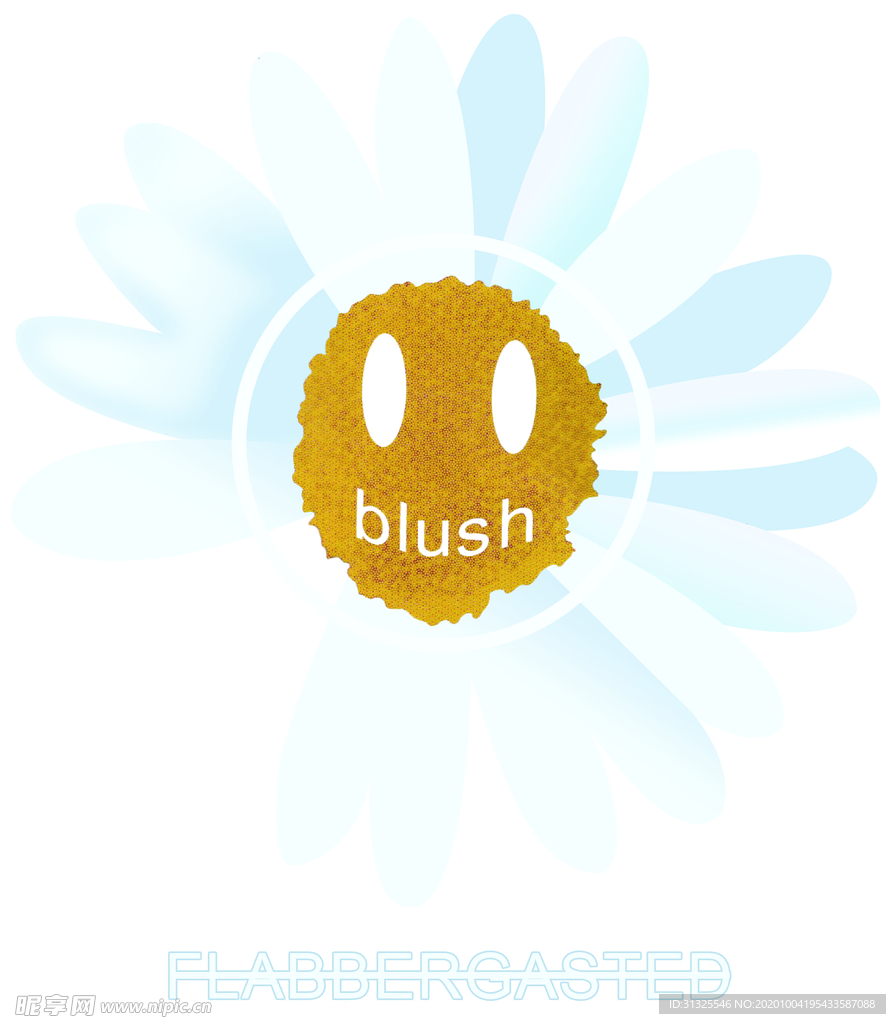 小雏菊 菊花 太阳花