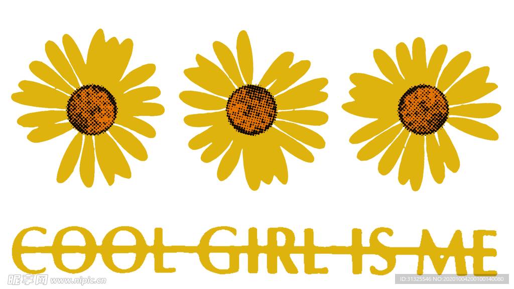 太阳花 菊花 三朵菊花